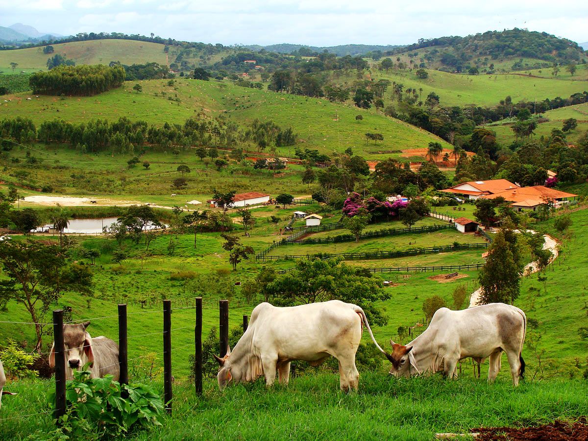 O ponto de partida para montar uma fazenda